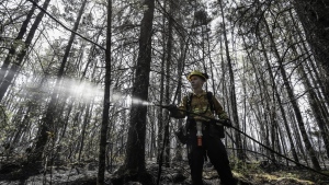 Department of Natural Resources and Renewables firefighter Kalen MacMullin of Sydney, N.S. works on a fire in Shelburne County, N.S. in a Thursday, June 1, 2023 handout photo. (THE CANADIAN PRESS/HO-Communications Nova Scotia)