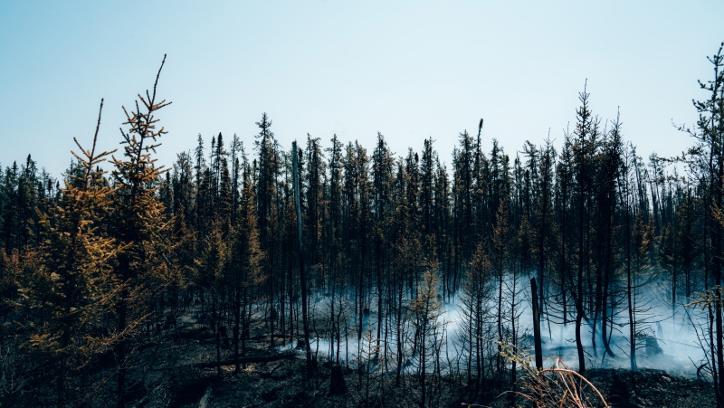 Smoke rises from burning trees near Chapais, in Northern Quebec, on Friday June 2, 2023 in this image provided by the fire prevention agency known as SOPFEU. THE CANADIAN PRESS/HO-SOPFEU Prevention and Communications-Audrey Marcoux
