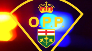 Ontario Provincial Police logo and cruiser lights (supplied).