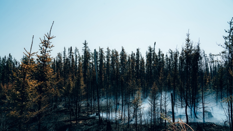 Smoke rises from burning trees near Chapais, in Northern Quebec, on Friday June 2, 2023 in this image provided by the fire prevention agency known as SOPFEU. THE CANADIAN PRESS/HO-SOPFEU Prevention and Communications-Audrey Marcoux