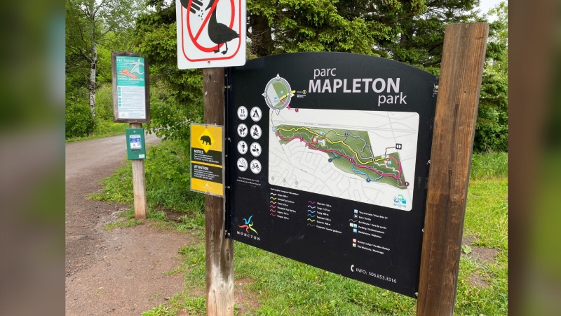 The city of Moncton has posted warning signs in Mapleton Park after a black bear sighting near a bird feeder.