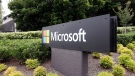 The Microsoft company logo is displayed at their offices in Sydney, on Feb. 3, 2021. (AP Photo/Rick Rycroft, File)