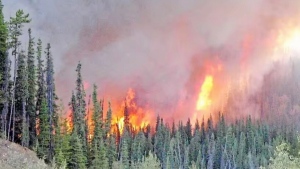 CTV National News: Wildfires continue in Que. 
