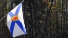 A Nova Scotia flag hangs in front of trees burnt by wildfires in the Tantallon area of Nova Scotia. (Source: Communications Nova Scotia)
