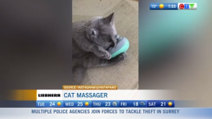 Morning Smile: Cat Massager