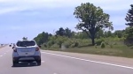 MI. police chase ten-year-old driving car
