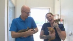 In this episode of Take Me Home Tuesday, Lucky and her litter of five kittens are at the Sudbury SPCA shelter looking for homes. June 6/23 (CTV Northern Ontario)