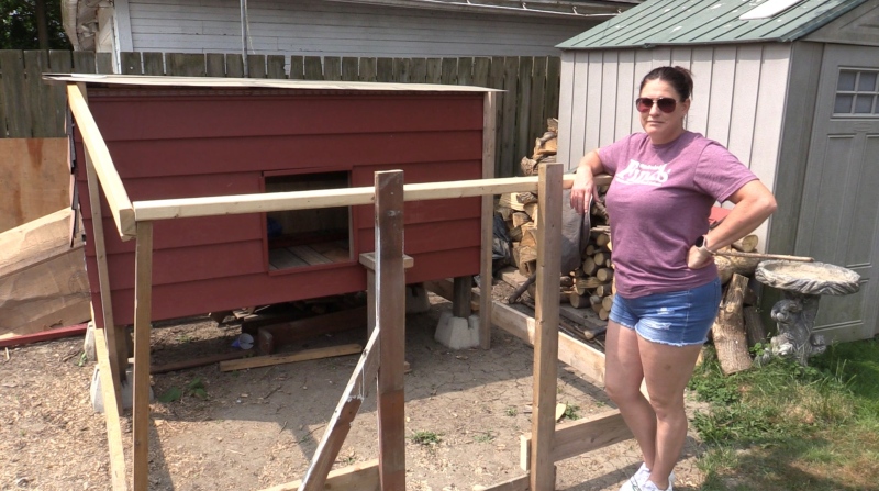 St. Thomas, Ont. resident Kay Vaughan built a chicken coop in her backyard after council was supportive of a backyard hen project. Her coop will sit empty for at least one year after council reversed course over concerns of avian flu. (Brent Lale/CTV News London)