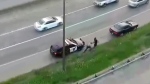 Driver, cop fight on side of MN. I-94 freeway 