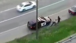 Driver fights with MN. state trooper, runs into traffic