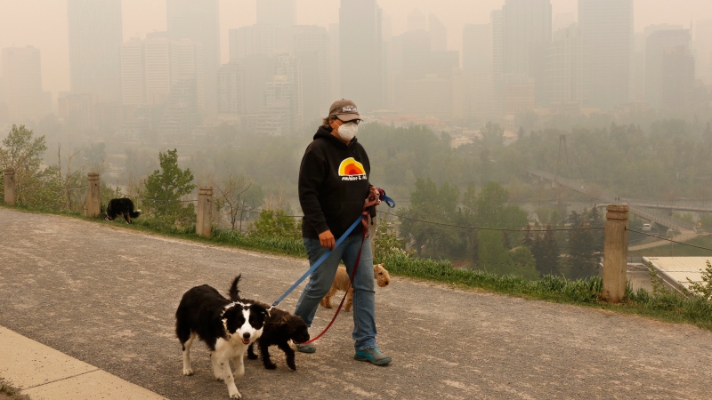 Wearing a protective mask, dog walker Leslie Kramer ventures out as heavy smoke from northern Alberta forest fires comes south to blanket the downtown area in Calgary, Tuesday, May 16, 2023. (Larry MacDougal/THE CANADIAN PRESS)
