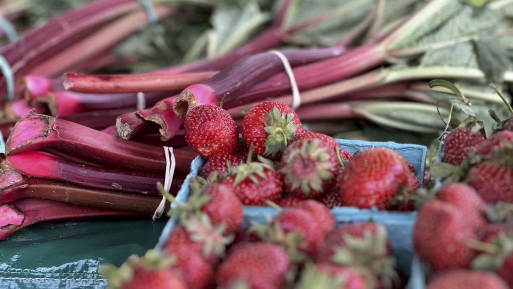 farm-fresh strawberries and rhubarb