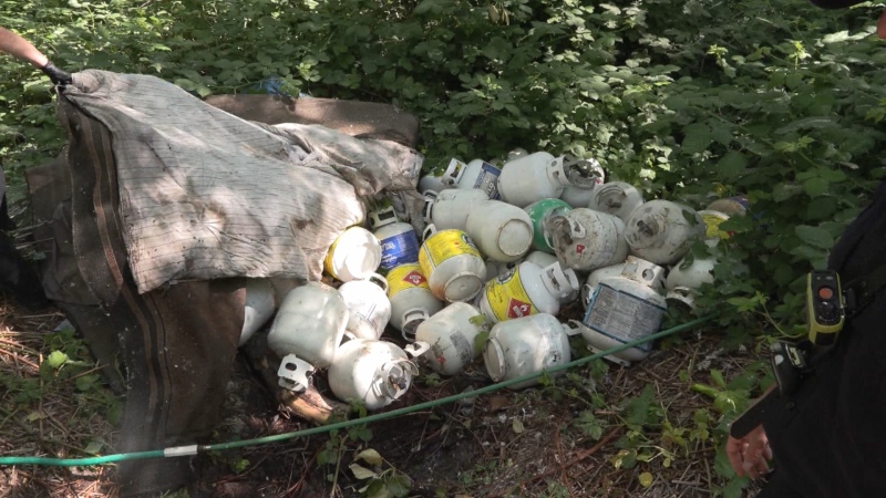 Under tarps, crews found a large stash of mostly empty propane tanks and began hauling them from the woods. (CTV)