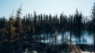 Smoke rises from burning trees near Chapais, in Northern Quebec, on Friday, June 2, 2023, in this image provided by the fire prevention agency known as SOPFEU. Quebec's massive forest fires have forced many of the province's wilderness outfitters, still recovering from travel restrictions during the COVID-19 pandemic, to shut down. THE CANADIAN PRESS/HO-SOPFEU Prevention and Communications-Audrey Marcoux
