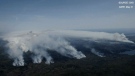 Shelburne wildfire is ‘being held’ 