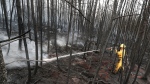 Volunteer firefighter pictured in Shelburne. (Communications Nova Scotia)