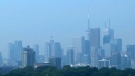 Smokey Toronto