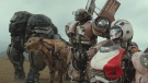 This image released by Paramount Pictures shows Optimus Primal, Cheetor, Wheeljack and Arcee in a scene from "Transformers: Rise of the Beasts." (Paramount via AP)