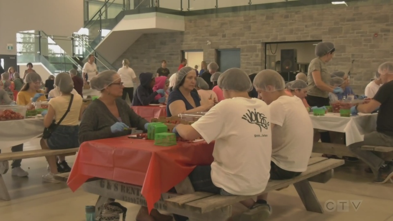 Over 100 volunteers work to prepare strawberries for the 2023 edition of the Strawberry Festival in LaSalle. June 7, 2023. (CTV News file photo)