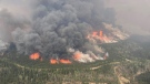 The Donnie Creek wildfire (G80280) burns in an area between Fort Nelson and Fort St. John, B.C. in this undated handout photo.(THE CANADIAN PRESS/HO, BC Wildfire Service)
