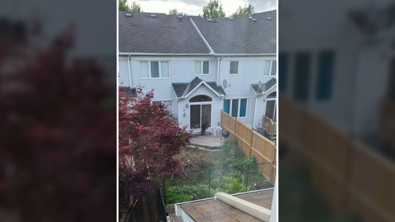 A bear was spotted in the backyard at a Kanata home Thursday morning. (Mamdouh Aldaw/CTV Viewer)