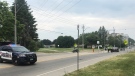 Police respond to a serious crash involving a cyclist and a vehicle on Strasburg Road in Kitchener on June 8, 2023. (Karis Mapp/CTV Kitchener)