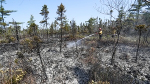 Department of Natural Resources and Renewables firefighters Walter Scott (left) and Zac Simpson work on a fire in Shelburne County, N.S. in a Thursday, June 1, 2023 handout photo. THE CANADIAN PRESS/HO-Communications Nova Scotia **MANDATORY CREDIT**