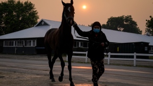 A handler wears a mask as she leads a horse back into the stables as the sun is obscured by haze caused by northern wildfires ahead of the Belmont Stakes horse race, Thursday, June 8, 2023, at Belmont Park in Elmont, N.Y. Training was cancelled for the day due to poor air quality. (AP Photo/John Minchillo)