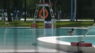 WATCH: A bear spray incident at Wascana pool forced the closure of the facility for the day. 