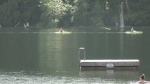 Westwood Lake in Nanaimo is pictured. (CTV News)
