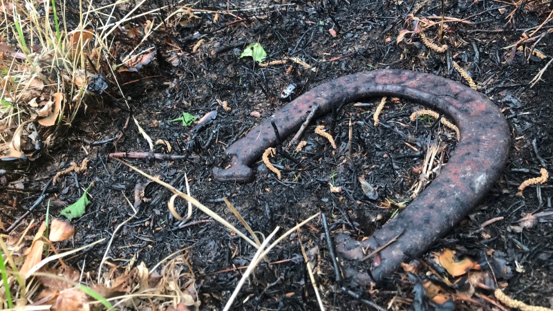 A horse shoe found within the fire damage in Clyde River, N.S. (Jonathan MacInnis/CTV Atlantic)
