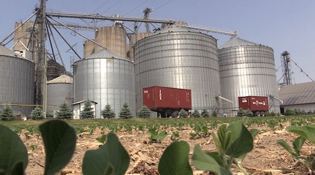 Ondrejicka Elevators are seen near Exeter, Ont. on June 9, 2023. Commercial drying elevators are not part of new private member’s bill exempting farmers from paying carbon tax on grain drying costs from natural gas and propane. (Scott Miller/CTV News London) 