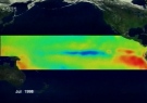 This satellite image shows the cooling of the Pacific Ocean which results in the phenomenon known as La Nina.