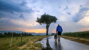 A man walks his dog in the morning shortly after sunrise, while thunderclouds gather in the background, in Riedlingen, Germany, Wednesday, June 21, 2023. (Thomas Warnack/dpa via AP)