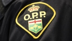 OPP crest on an officer's sleeve. (File photo)