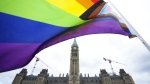 Advocates and local politicians in Ottawa are calling for support from all levels of government following "a rise in misinformation and hate targeting queer and trans people." A Pride flag flies on Parliament Hill in Ottawa on Thursday, June 8, 2023. THE CANADIAN PRESS/Sean Kilpatrick