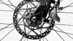 A bicycle wheel appears in this stock photo. (Jean van der Meulen/Pexels)