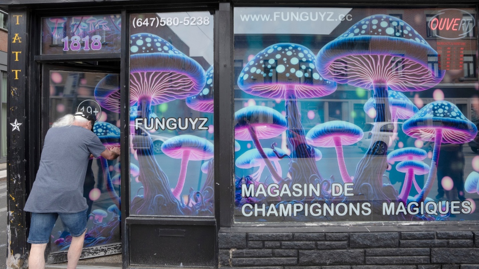 Magic mushroom store