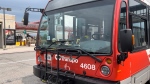An OC Transpo bus is seen in this undated file image. (Leah Larocque/CTV News Ottawa)