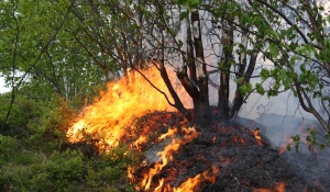 There 27 active wildfires in the Northeast Region as of July 22 and most of the area is no longer consider at severe risk for forest fires. (Supplied)
