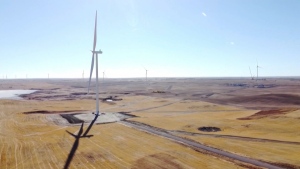 The Alberta government announced a moratorium on wind and solar energy development on Aug. 3, 2023.