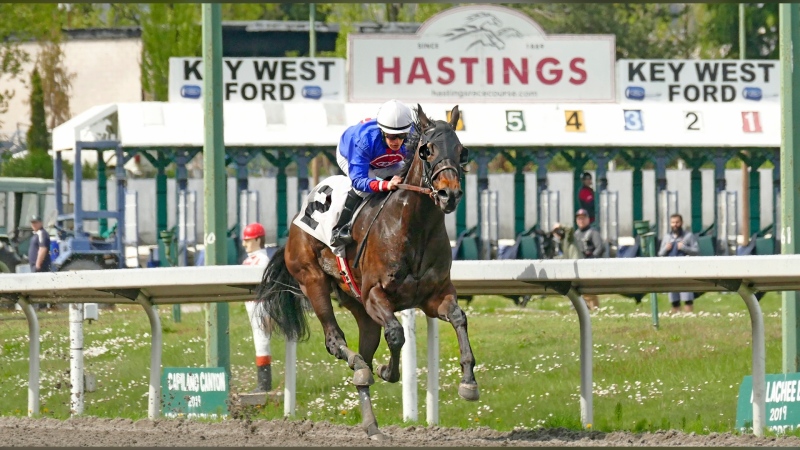 A jockey is seen riding a horse at the Hastings Racecourse in Vancouver in an undated file photo. (Facebook/ Hastings Racecourse and Casino). In the 2023 racing season so far, three horses have died and another was injured during competitions at the track. 