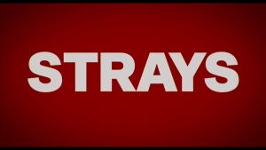 Will Ferrell and Jamie fox star in ‘Strays’