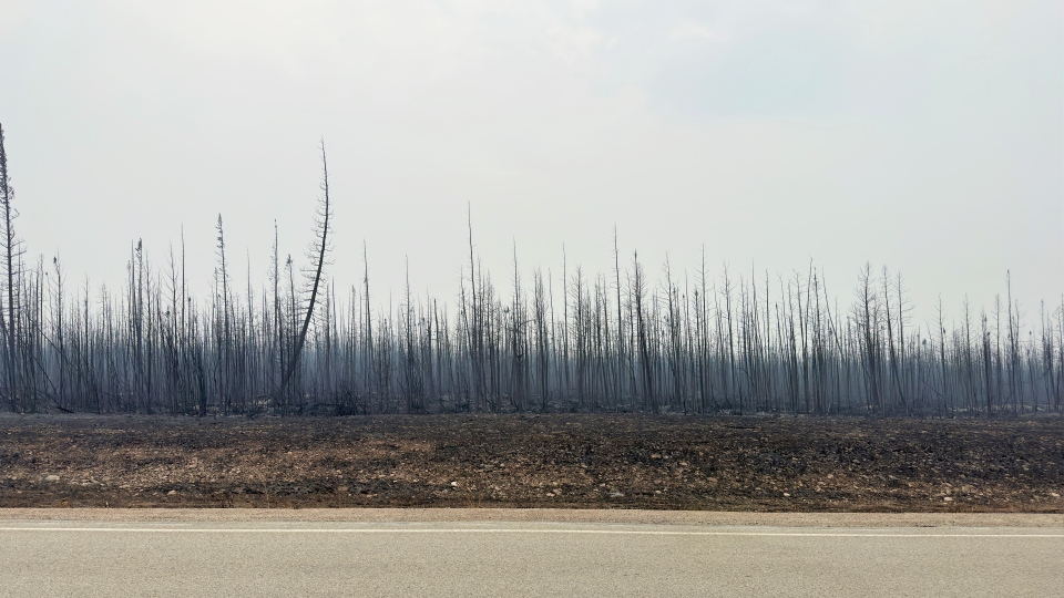 Damage from the wildfires