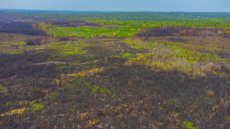 The Highland Park area of Hammonds Plains, N.S., is pictured in the aftermath of a devastating wildfire that began on May 28, 2023.