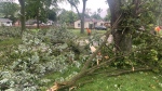 The aftermath of a powerful storm in Windsor, Ont., on Aug. 25, 2023.  