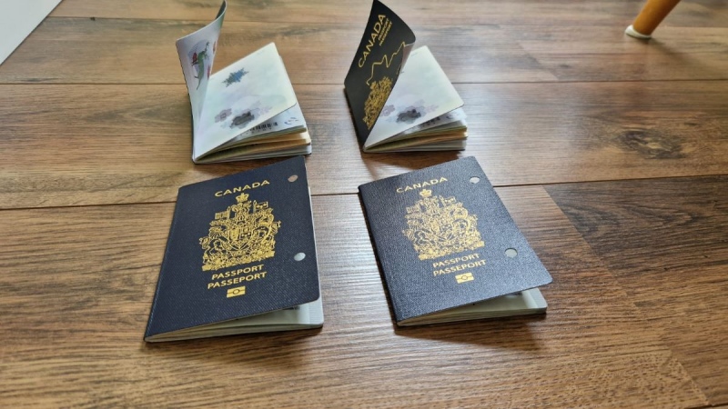 Four Canadian passports beside each other show the new generation's cover is curled up compared to the sturdy, flat cover from the older model on Aug. 25, 2023 (Submitted by Stephane Lapensee)