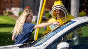 Beekeepers Terri Faloney, left, and Tyler Troute remove bees from a car after a truck carrying bee hives swerved on Guelph Line road causing the hives to fall and release millions of bees in Burlington, Ont., on Wednesday, August 30, 2023. THE CANADIAN PRESS/Carlos Osorio