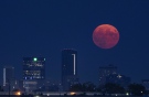 Super Blue Moon in Winnipeg (Photo by Roxanne Poole)