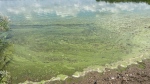 Blue-green algae is seen at Woolwich Reservoir and Dam on Sept. 5, 2023. (Hannah Schmidt/CTV Kitchener)